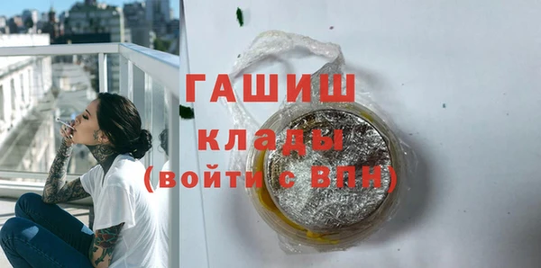 прущие грибы Щёлкино