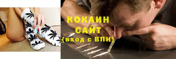 a pvp Гусь-Хрустальный