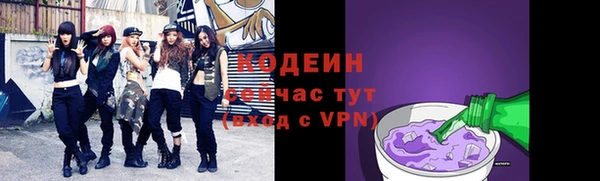 мдпв Щучье