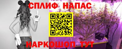 кокс Гусев