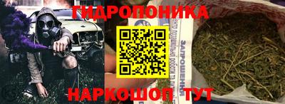 кокс Гусев