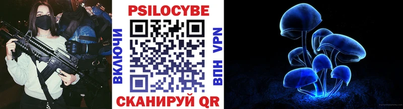 дарнет шоп Междуреченск Псилоцибиновые грибы Psilocybine cubensis