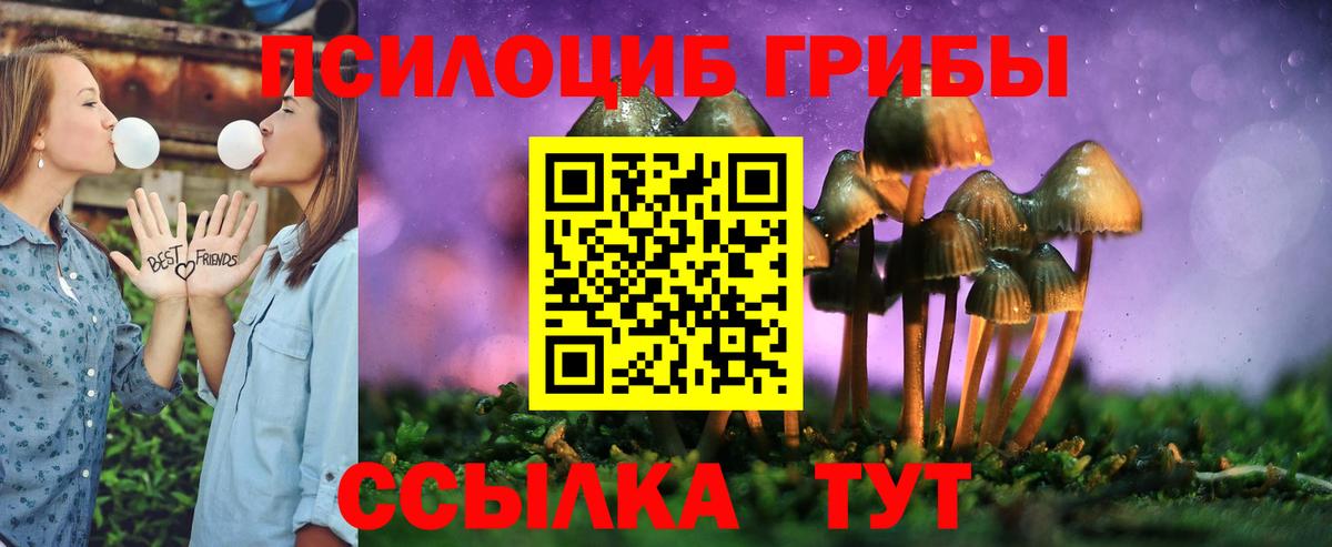 как найти наркотики  Вход с VPN  Междуреченск  Псилоцибиновые грибы прущие грибы 